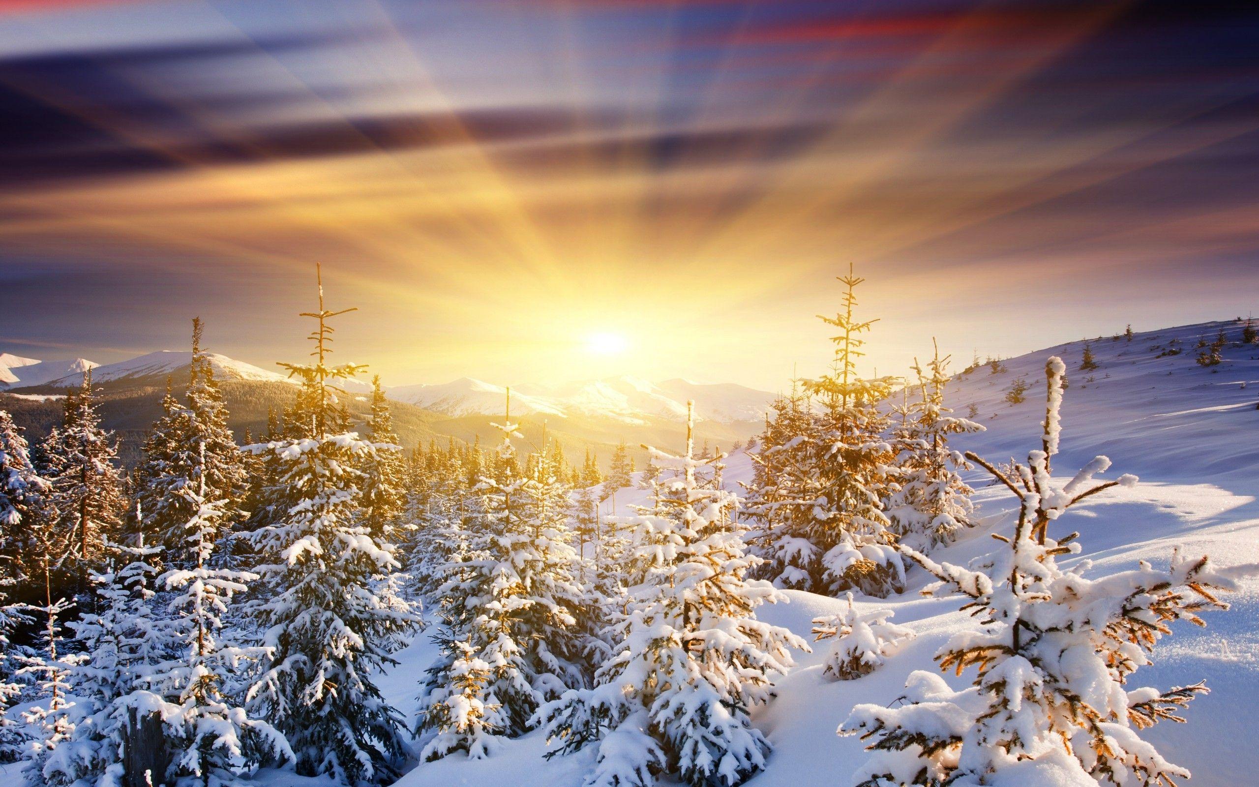 Winter Sunrise Wallpapers Top Free Winter Sunrise Backgrounds