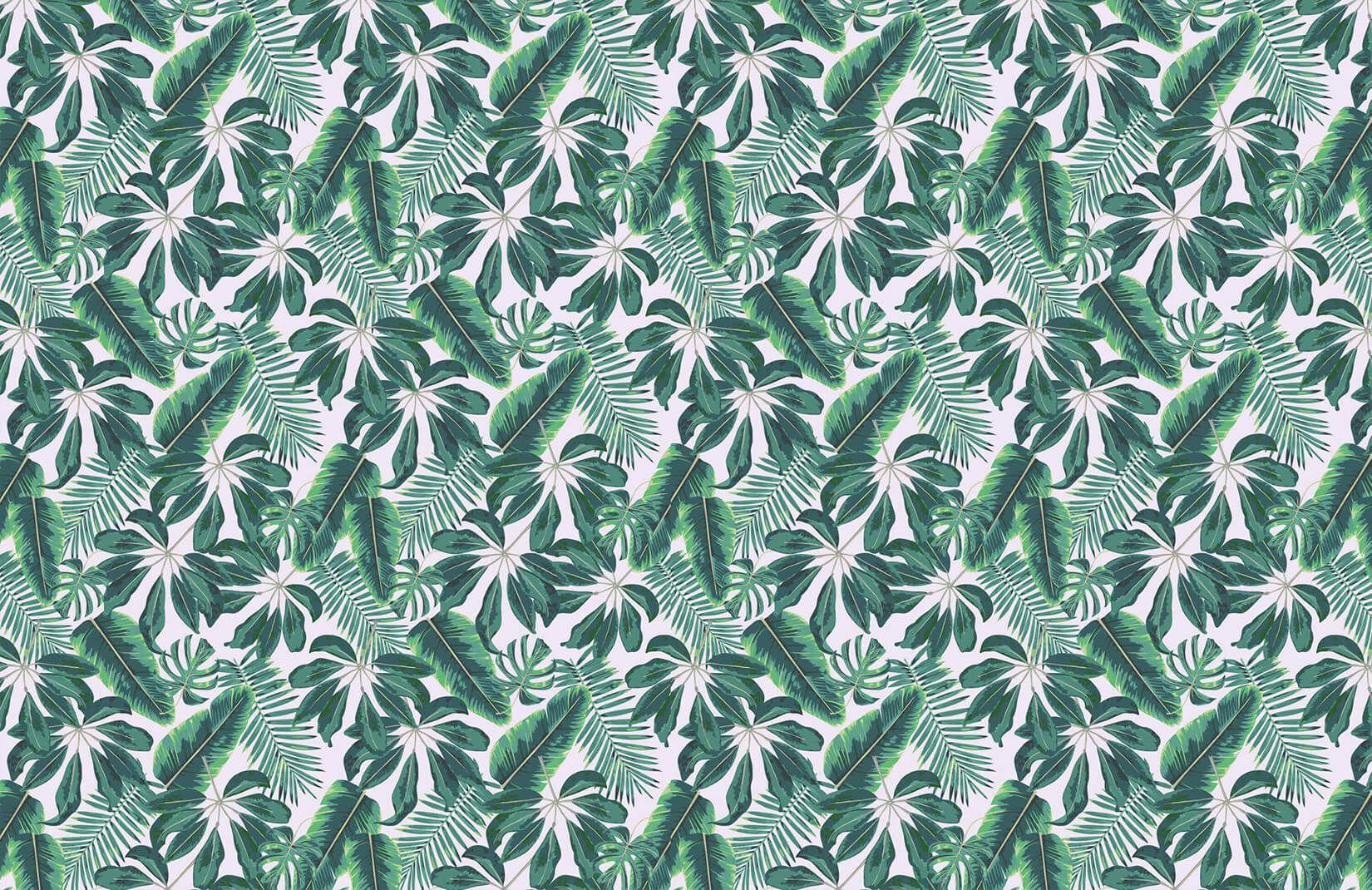 Tropical Print Wallpapers Top Free Tropical Print Backgrounds