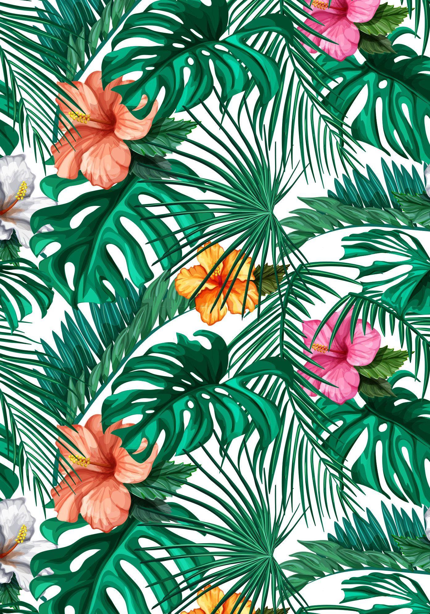 Tropical Flowers Wallpapers Top Free Tropical Flowers Backgrounds