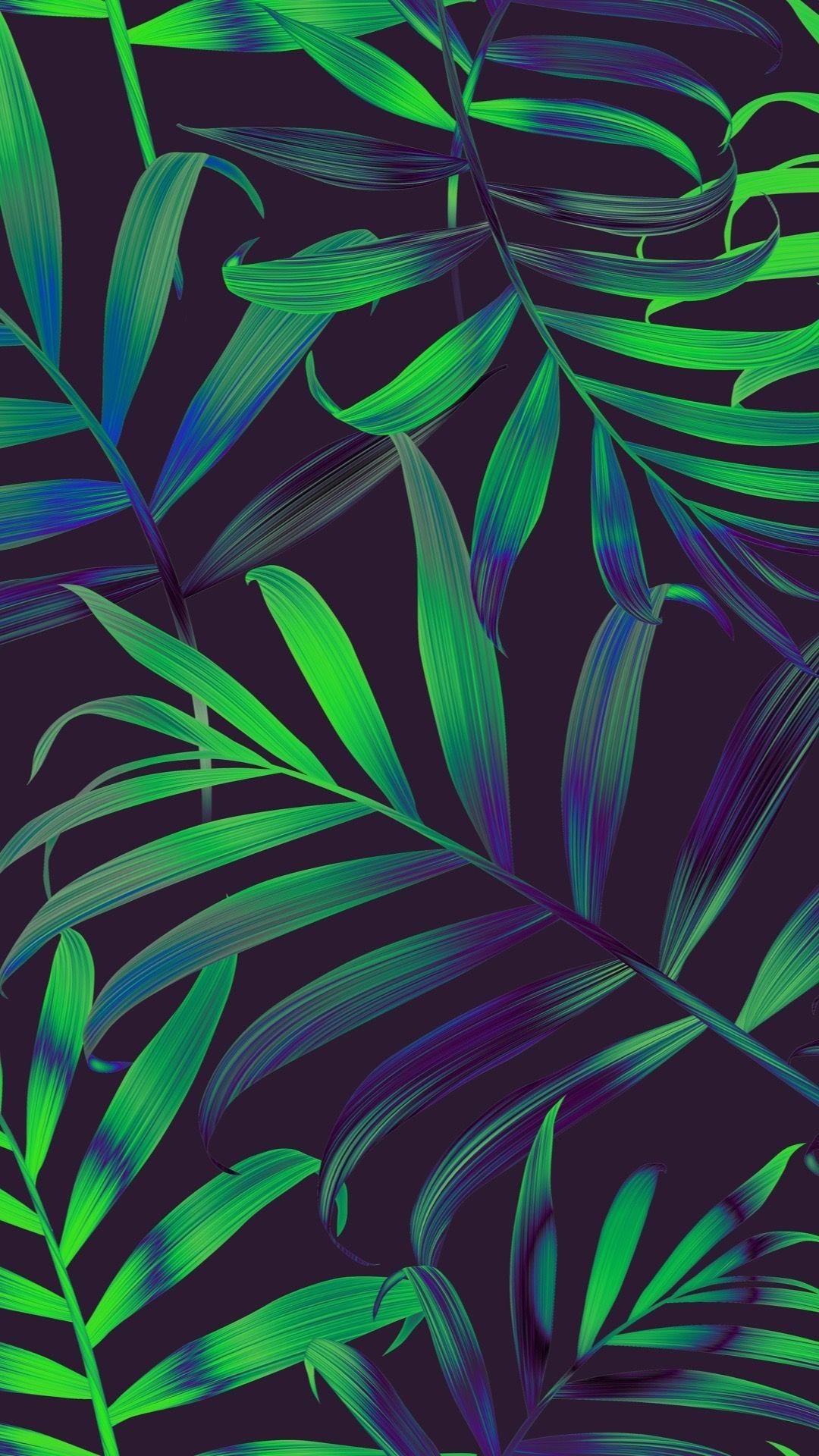 Tropical Leaf Wallpapers Top Free Tropical Leaf Backgrounds