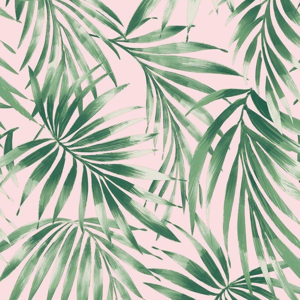 Pink Tropical Leaves Wallpapers Top Free Pink Tropical Leaves