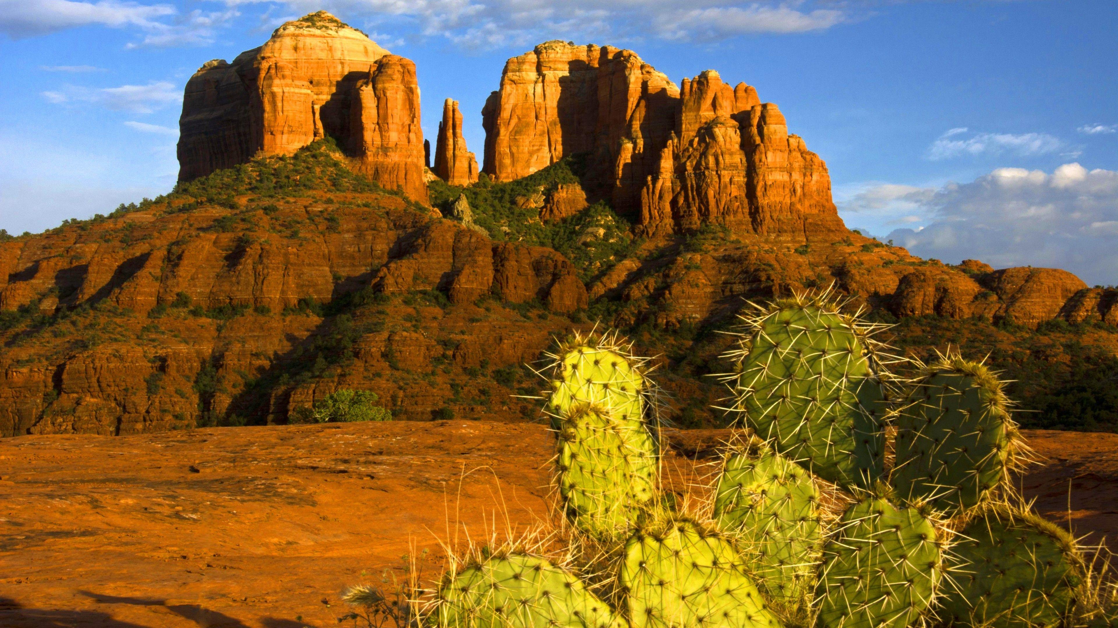 Arizona Laptop Wallpapers Top Free Arizona Laptop Backgrounds