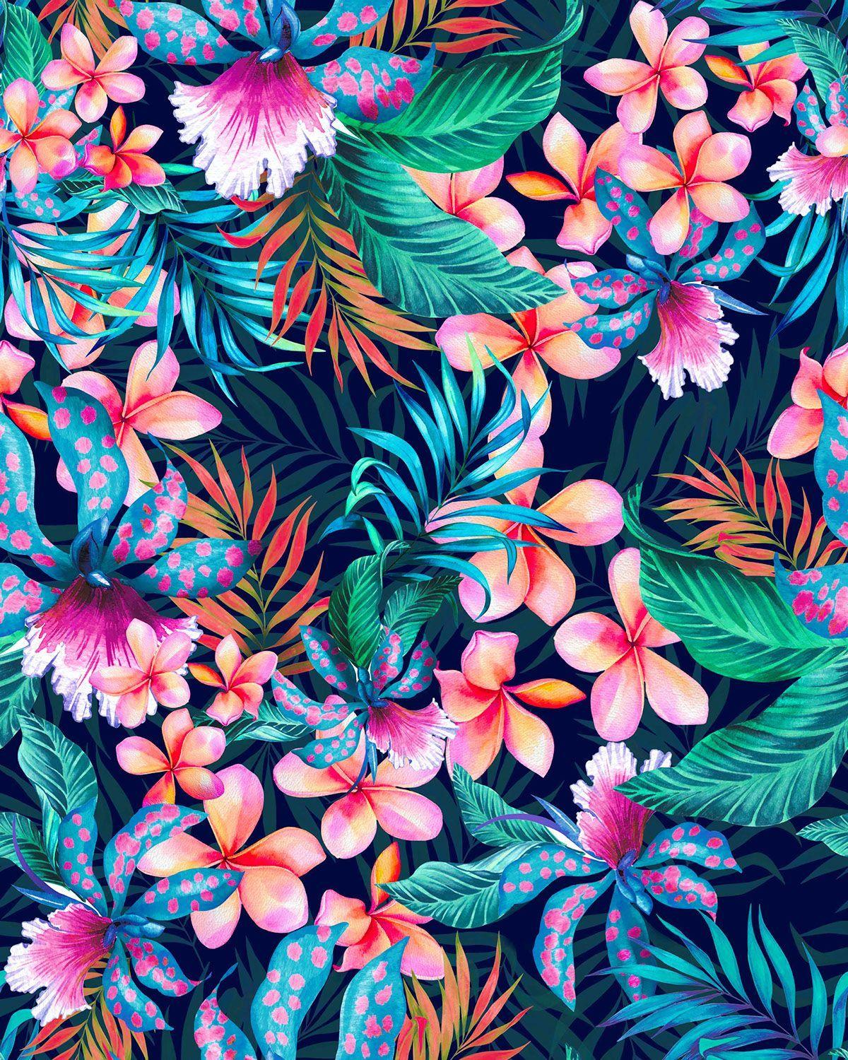 Tropical Flowers Tumblr Wallpapers Top Free Tropical Flowers Tumblr