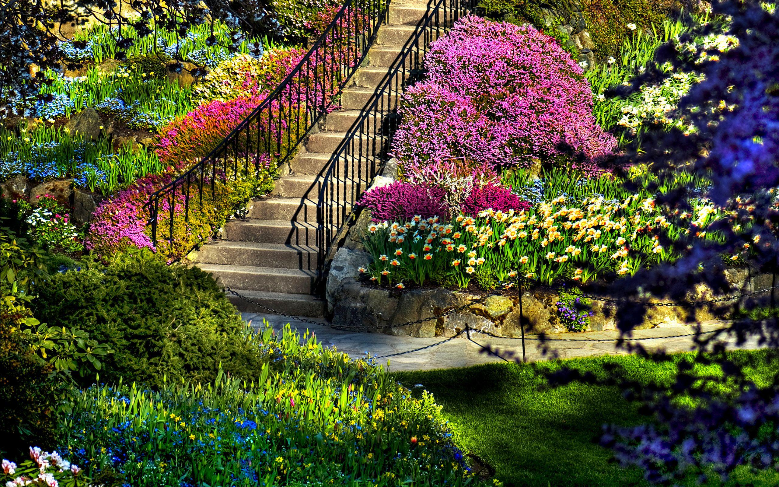 Most Beautiful Garden Wallpapers Top Free Most Beautiful Garden