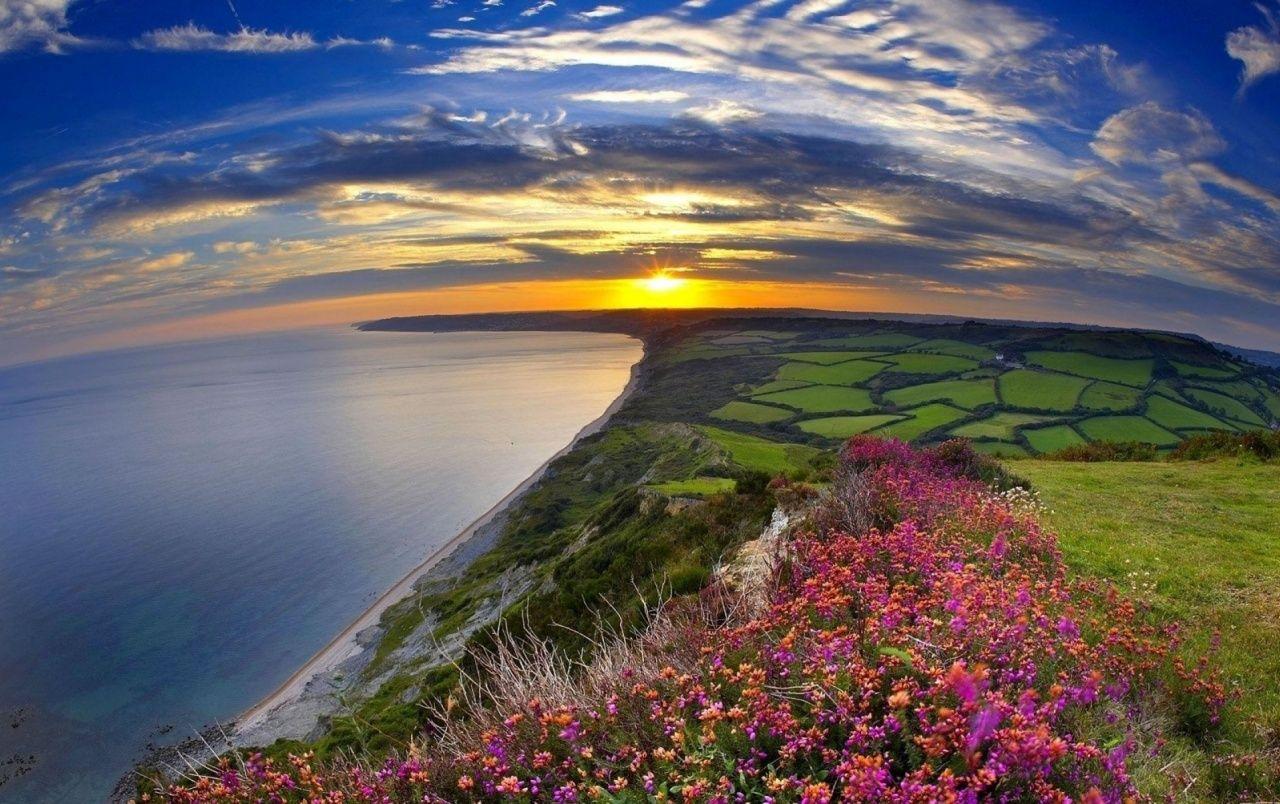 Ocean Flowers Wallpapers Top Free Ocean Flowers Backgrounds