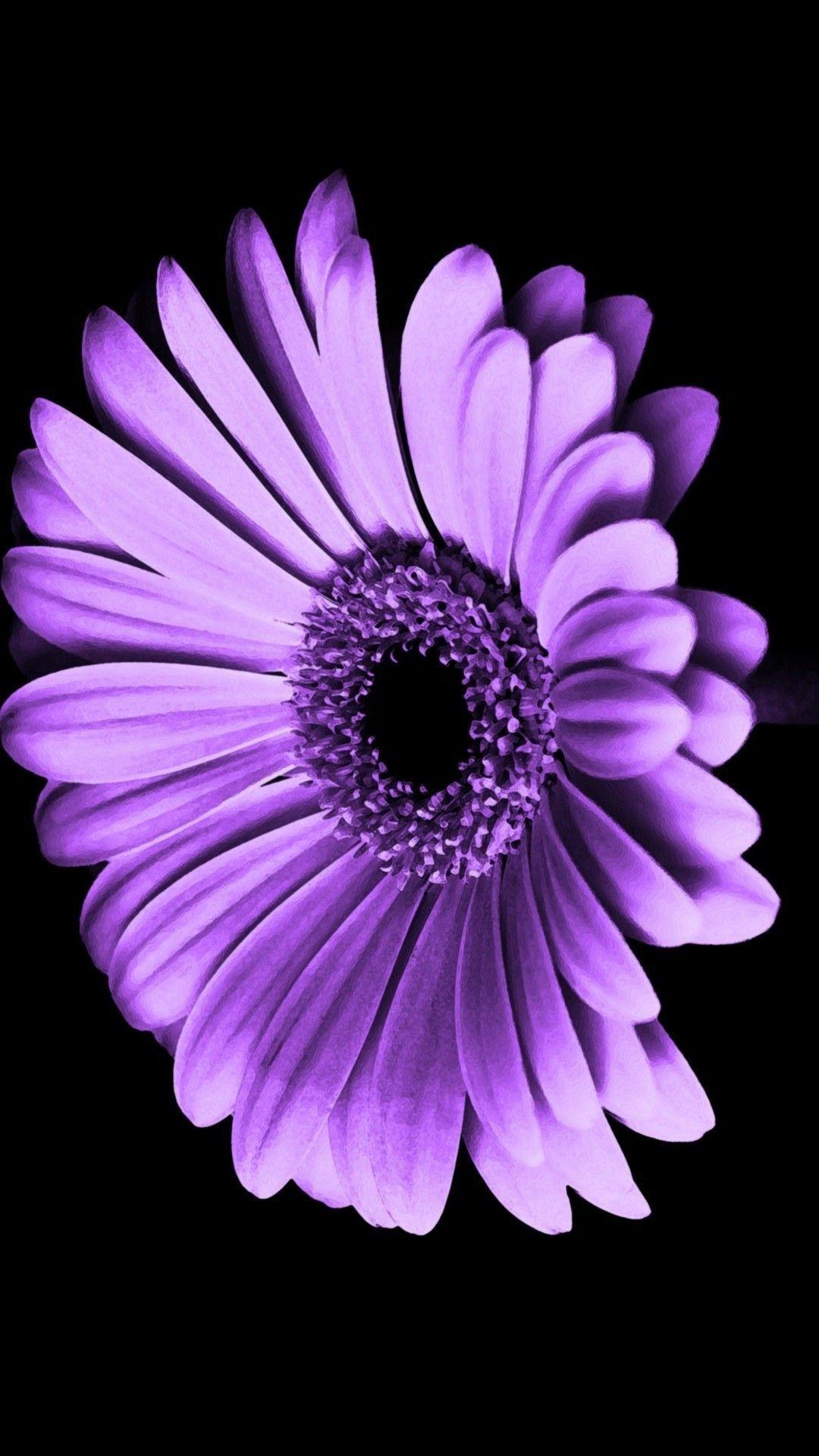 Flower iPhone HD Wallpapers Top Free Flower iPhone HD Backgrounds