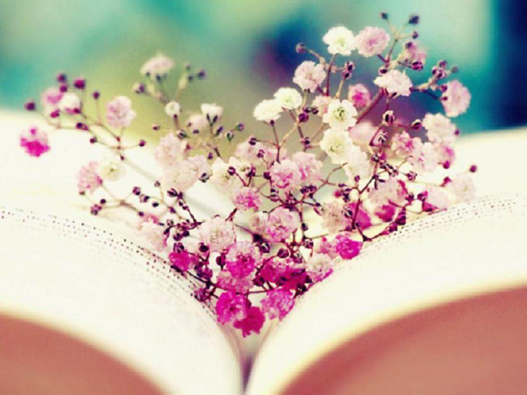 Books and Flowers Wallpapers Top Free Books and Flowers Backgrounds