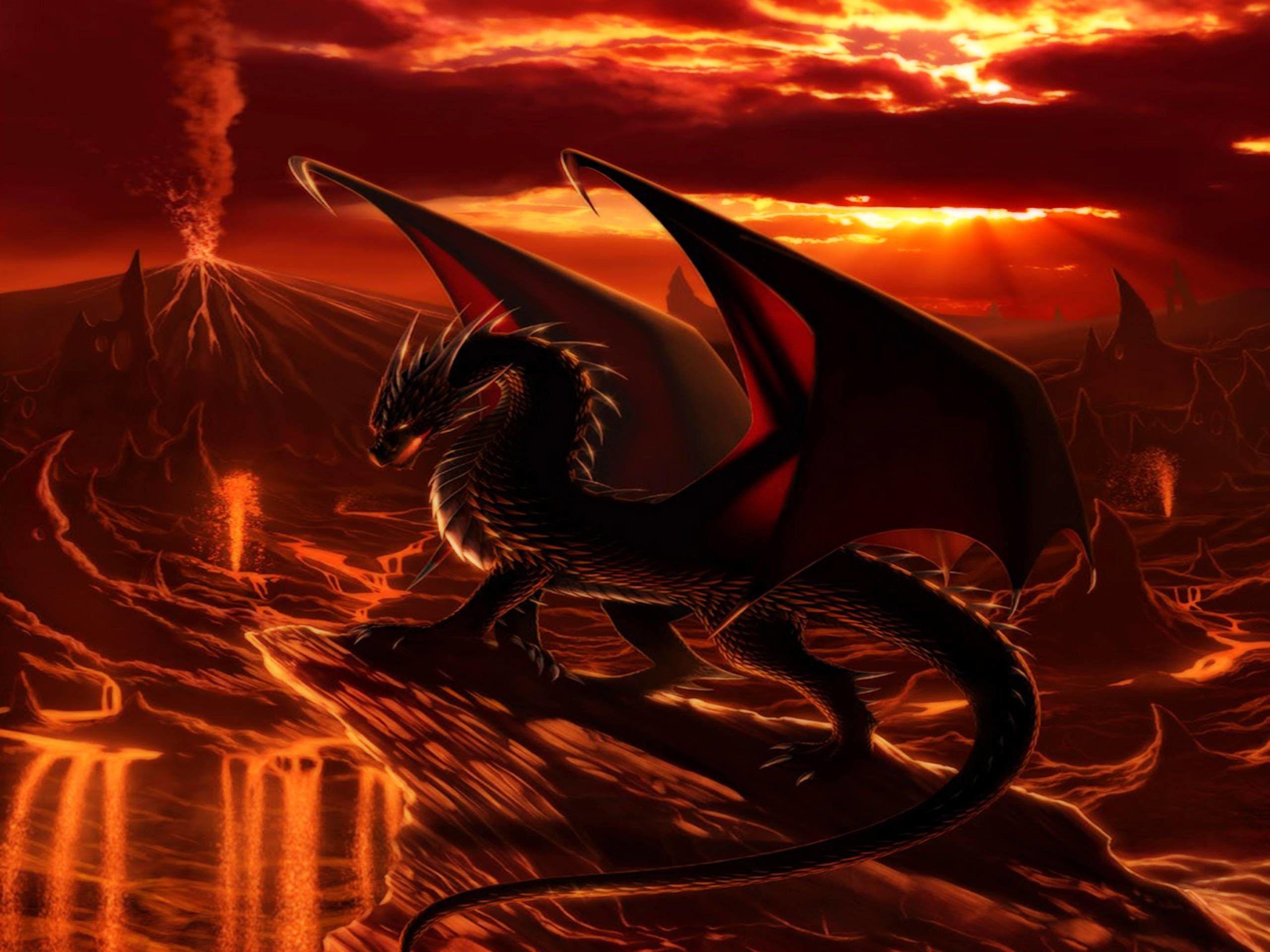 Really Cool Dragons Wallpapers Top Free Really Cool Dragons