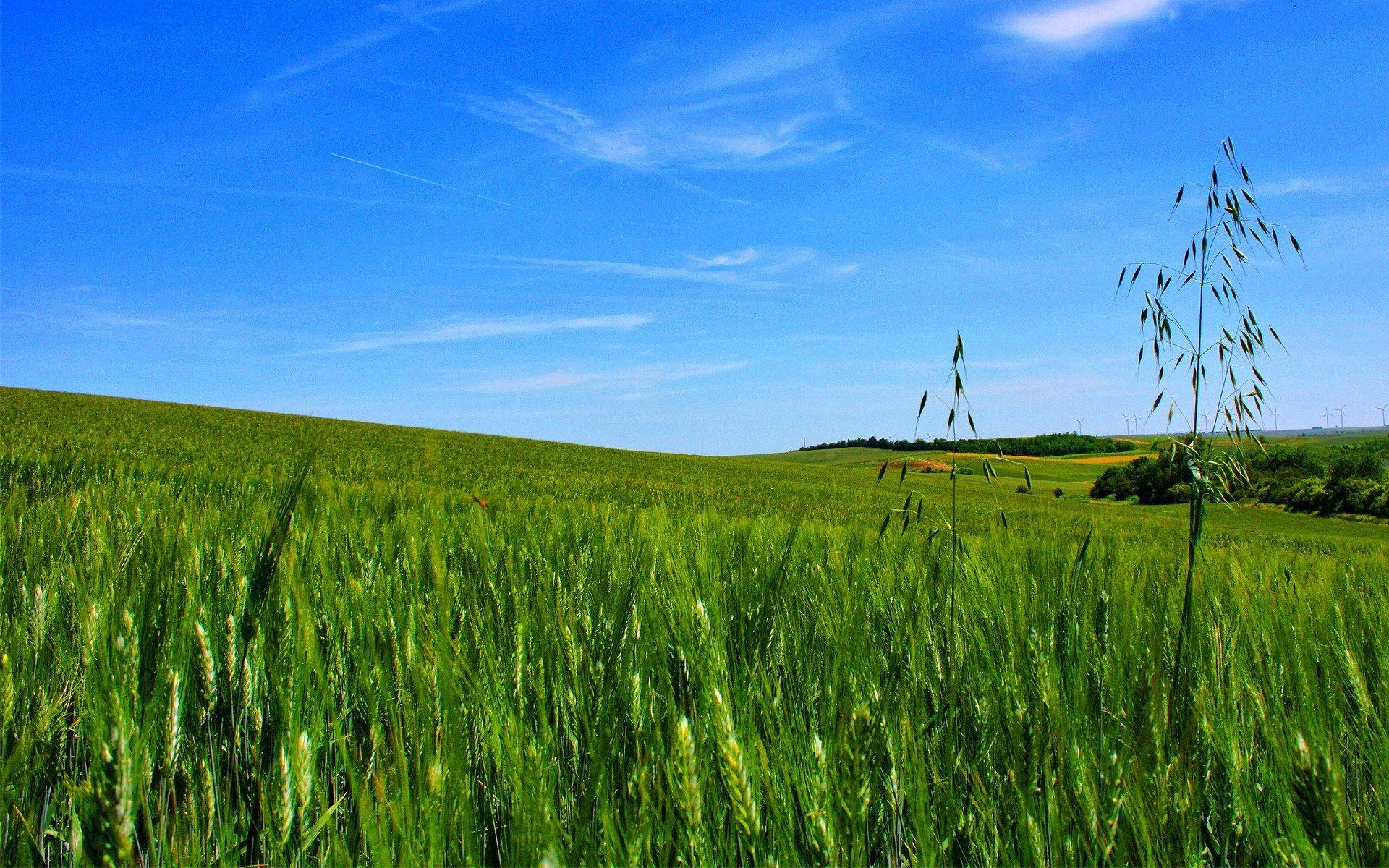 Eye Relaxing Wallpapers Top Free Eye Relaxing Backgrounds