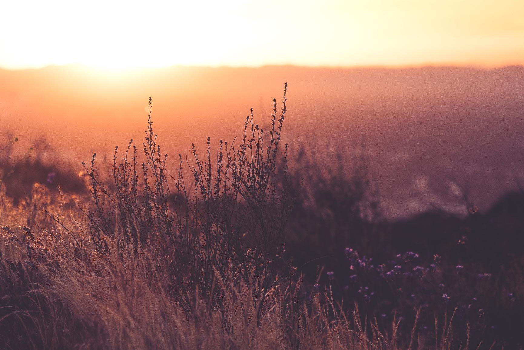 Eye Relaxing Wallpapers Top Free Eye Relaxing Backgrounds