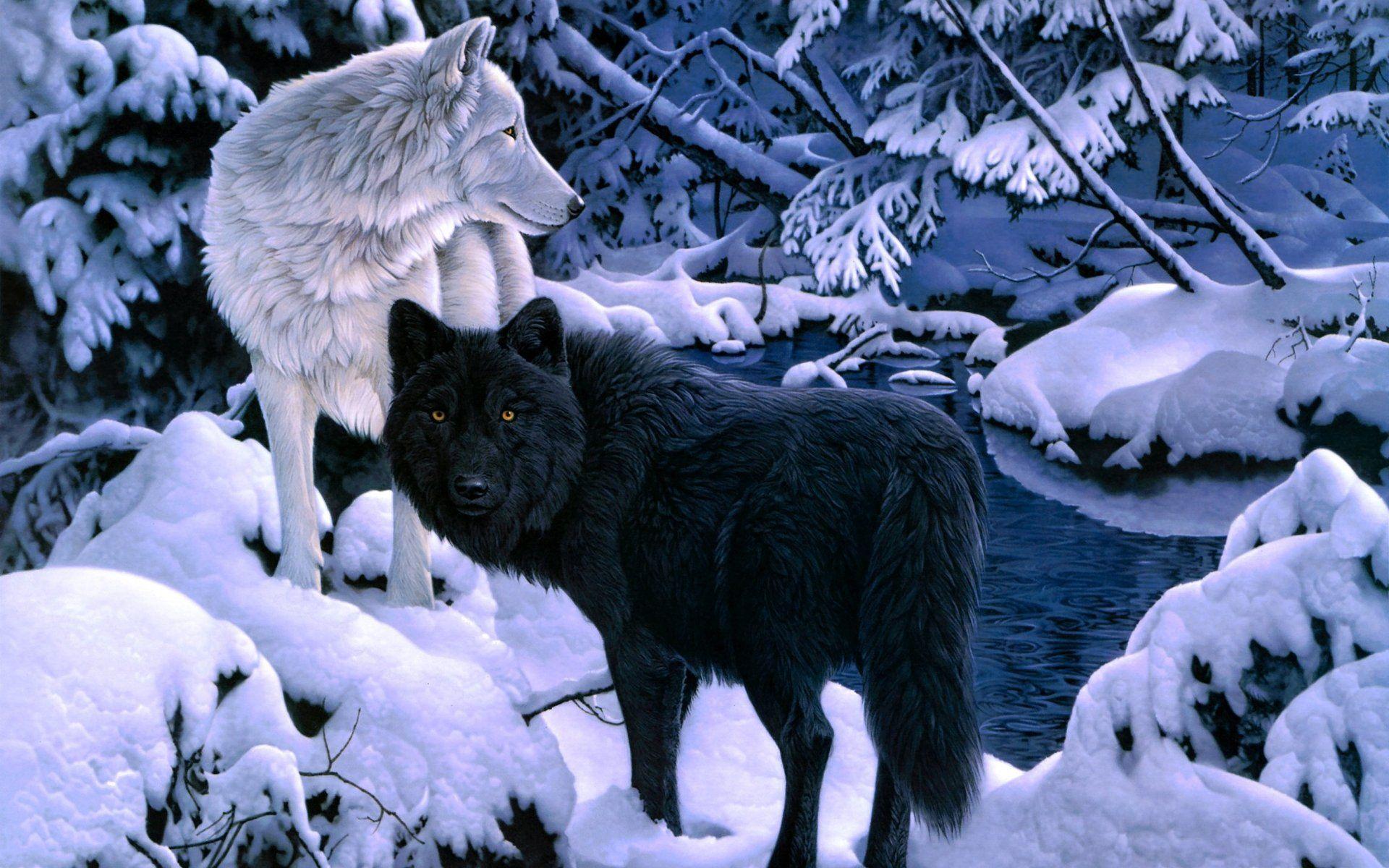 White Wolf Wallpapers Top Free White Wolf Backgrounds WallpaperAccess