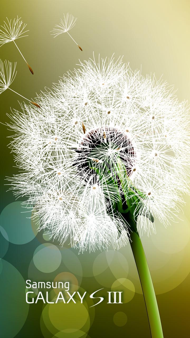 Samsung Galaxy S3 Wallpapers Top Free Samsung Galaxy S3 Backgrounds WallpaperAccess