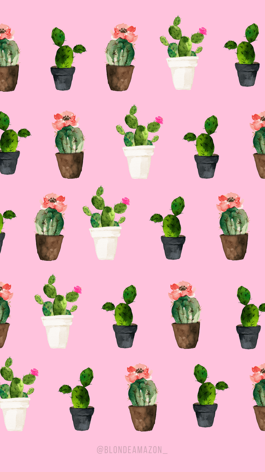 Watercolor Cactus Wallpapers Top Free Watercolor Cactus Backgrounds