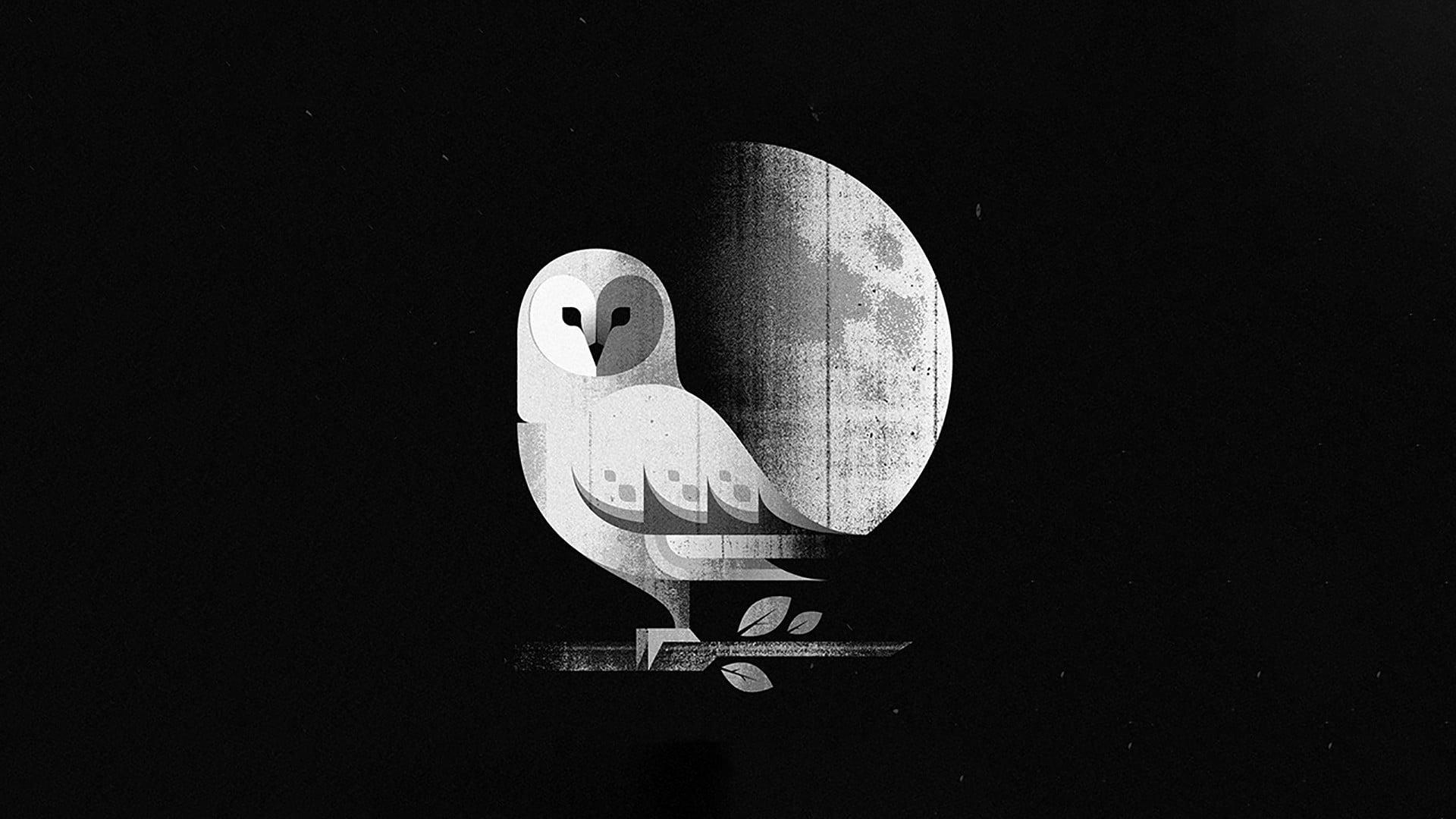 Minimalist Owl Wallpapers Top Free Minimalist Owl Backgrounds