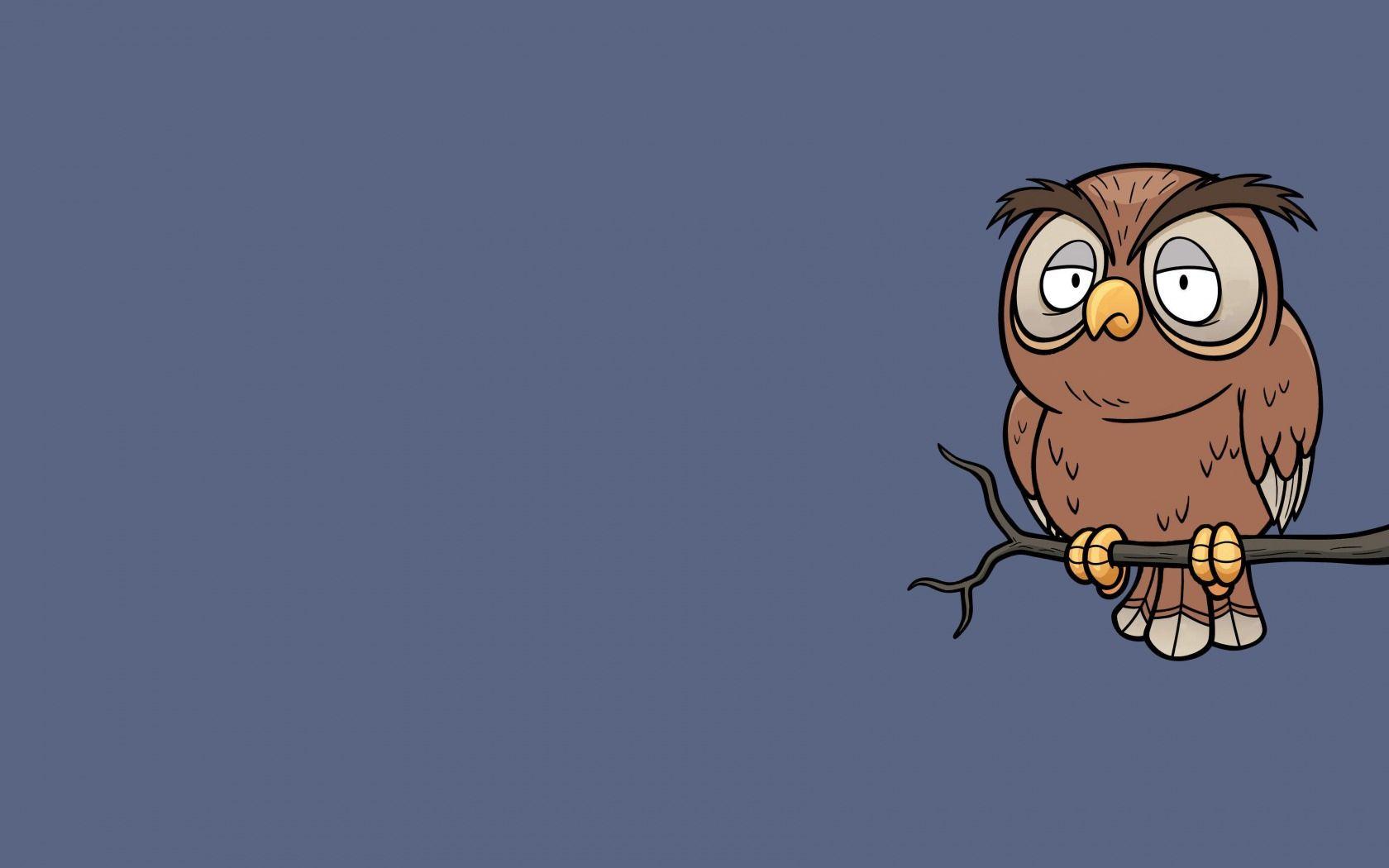 Minimalist Owl Wallpapers Top Free Minimalist Owl Backgrounds