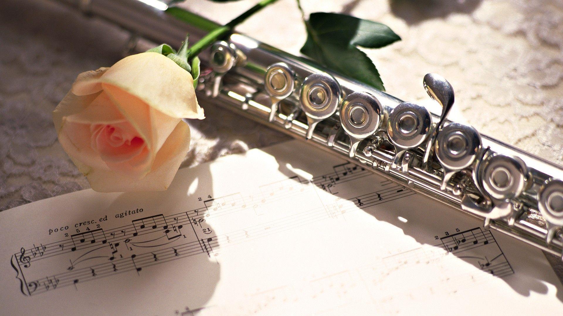 Flute Wallpapers Top Free Flute Backgrounds Wallpaperaccess