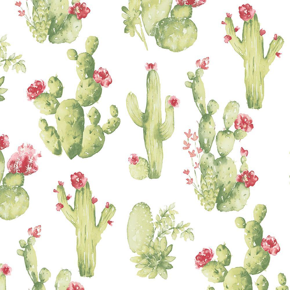 Cactus Print Wallpapers Top Free Cactus Print Backgrounds