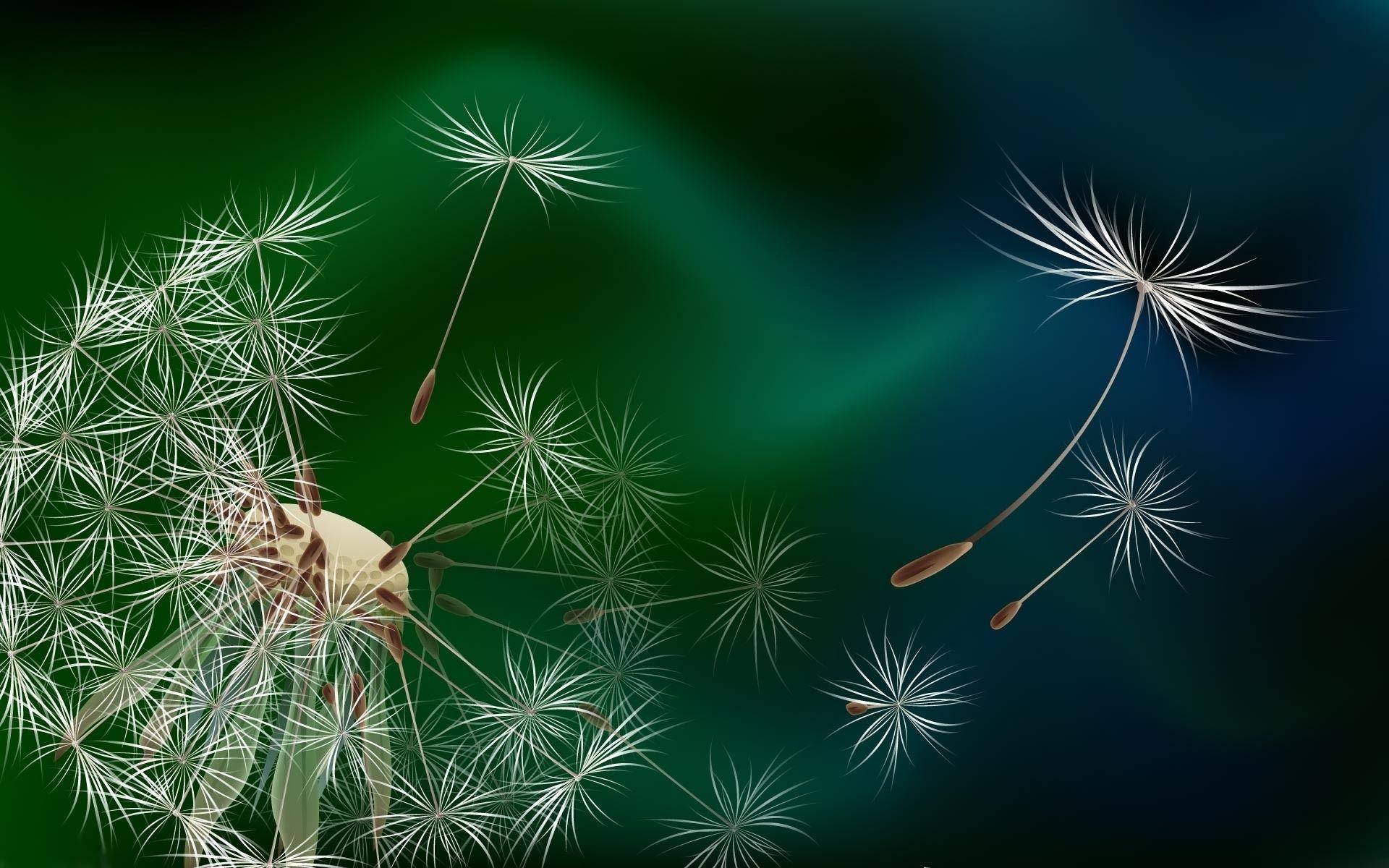 Dandelion Wallpapers Top Free Dandelion Backgrounds WallpaperAccess