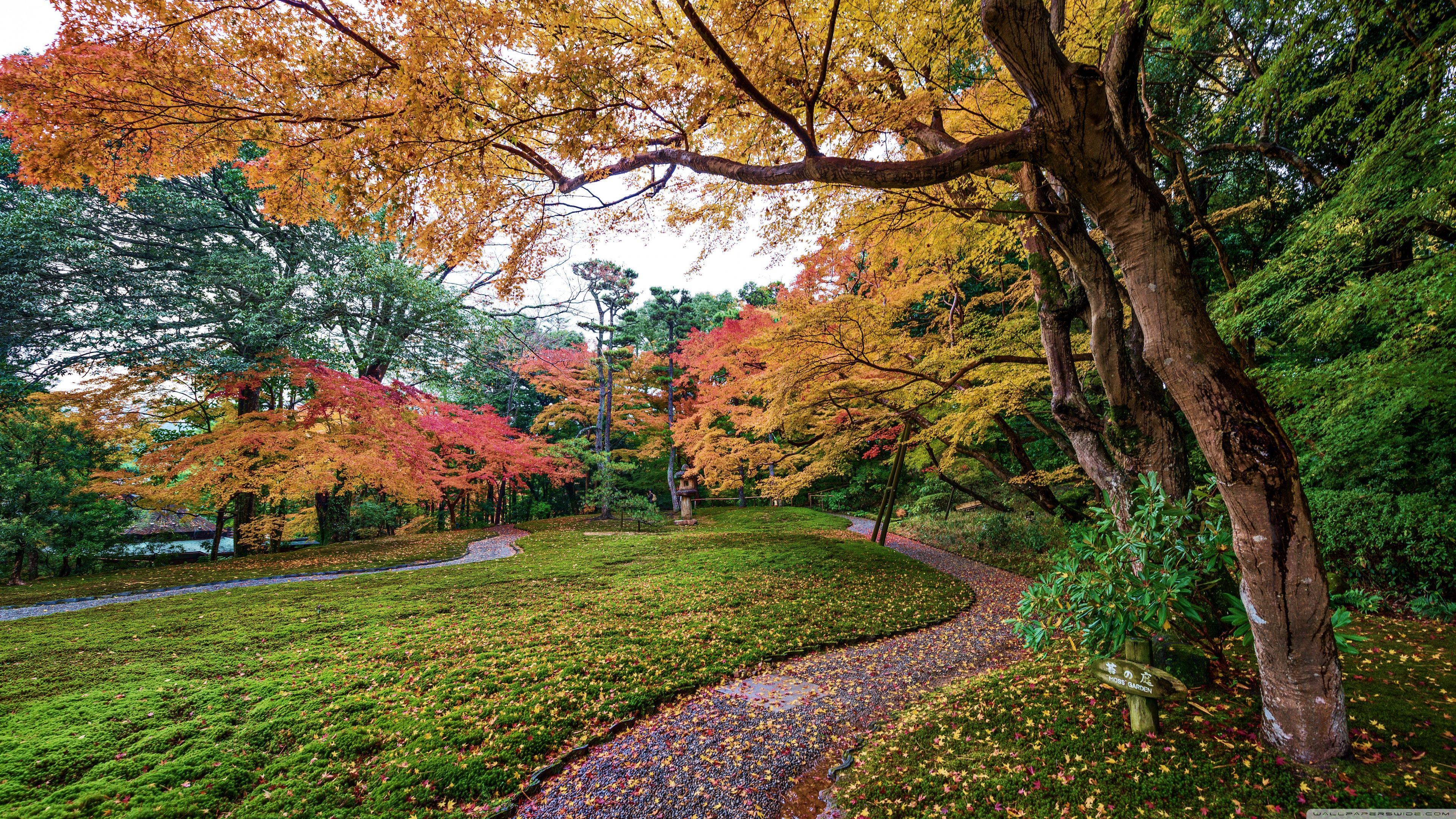 Gardens 4K Wallpapers Top Free Gardens 4K Backgrounds WallpaperAccess