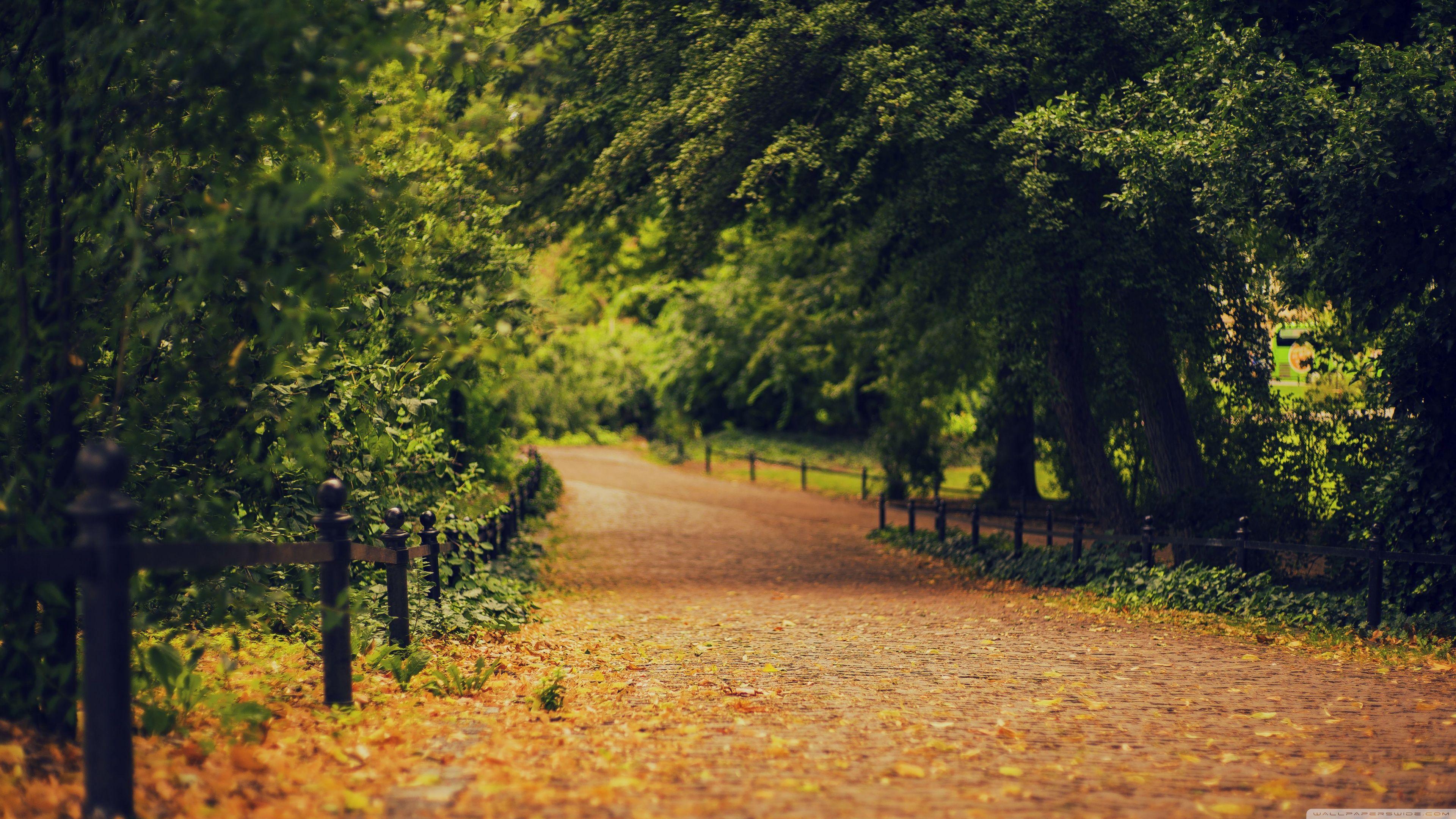 Gardens 4K Wallpapers Top Free Gardens 4K Backgrounds WallpaperAccess