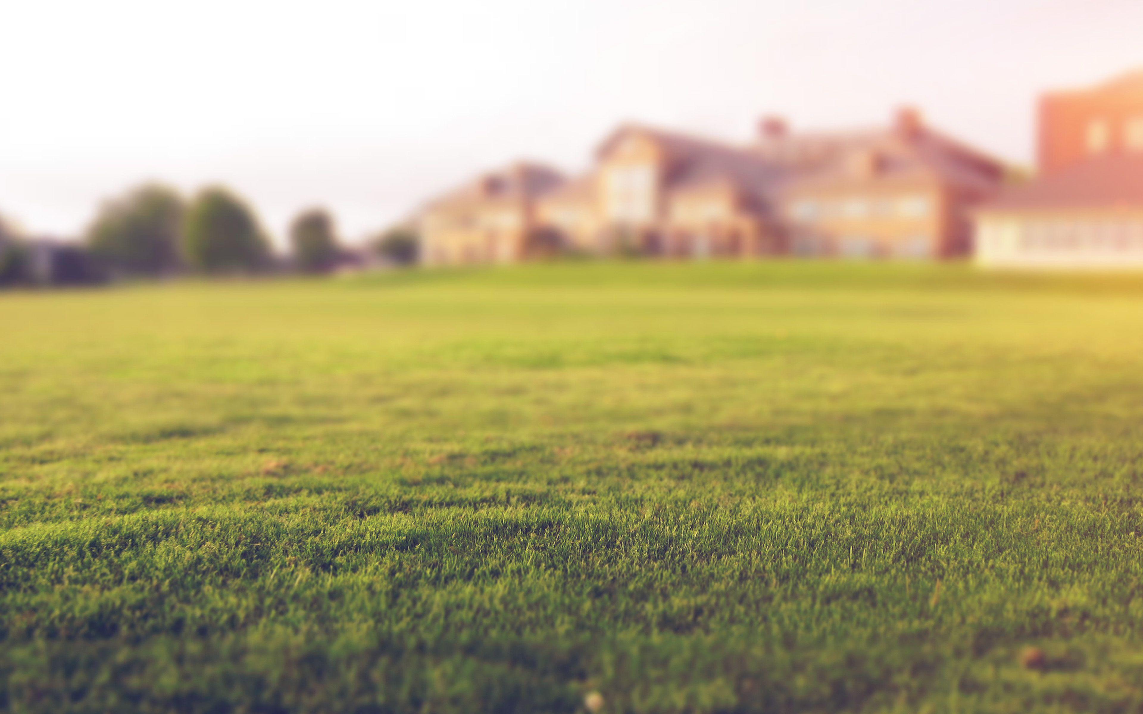 Gardens 4K Wallpapers Top Free Gardens 4K Backgrounds WallpaperAccess