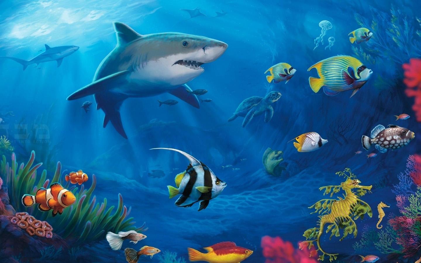 Cute Shark Wallpapers Top Free Cute Shark Backgrounds WallpaperAccess