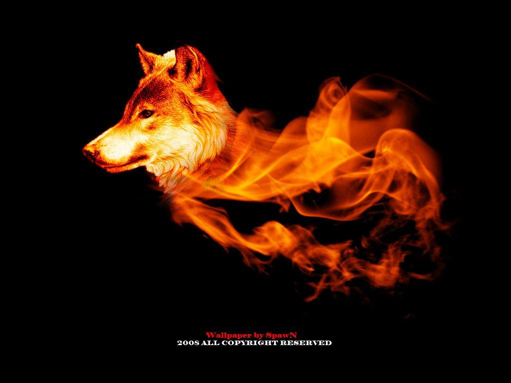 Fire Wolf Wallpapers Top Free Fire Wolf Backgrounds WallpaperAccess