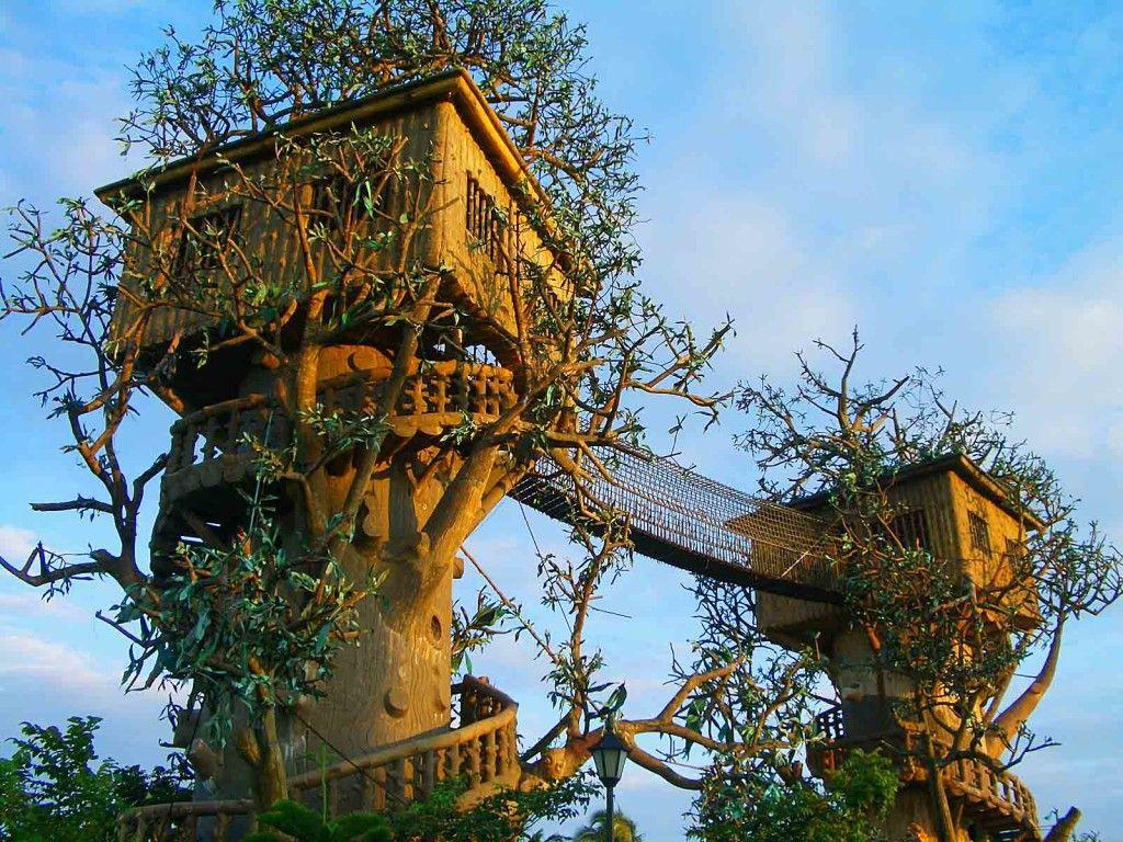 Treehouse Wallpapers Top Free Treehouse Backgrounds WallpaperAccess
