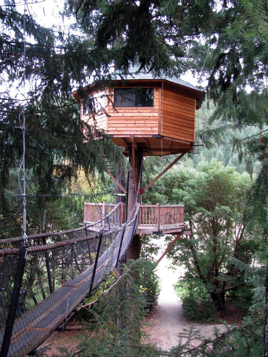 Treehouse Wallpapers Top Free Treehouse Backgrounds WallpaperAccess