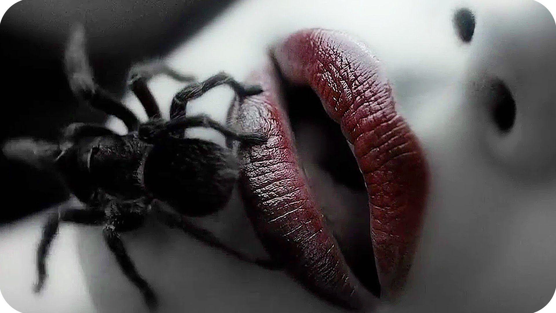 American Horror Story Wallpapers Top Free American Horror Story