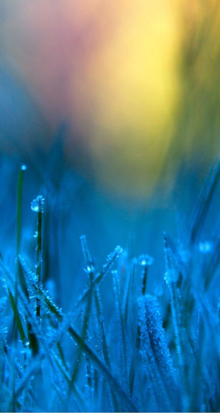 WhatsApp Wallpapers Top Free WhatsApp Backgrounds WallpaperAccess