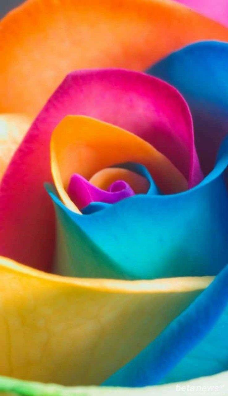 WhatsApp Wallpapers Top Free WhatsApp Backgrounds WallpaperAccess