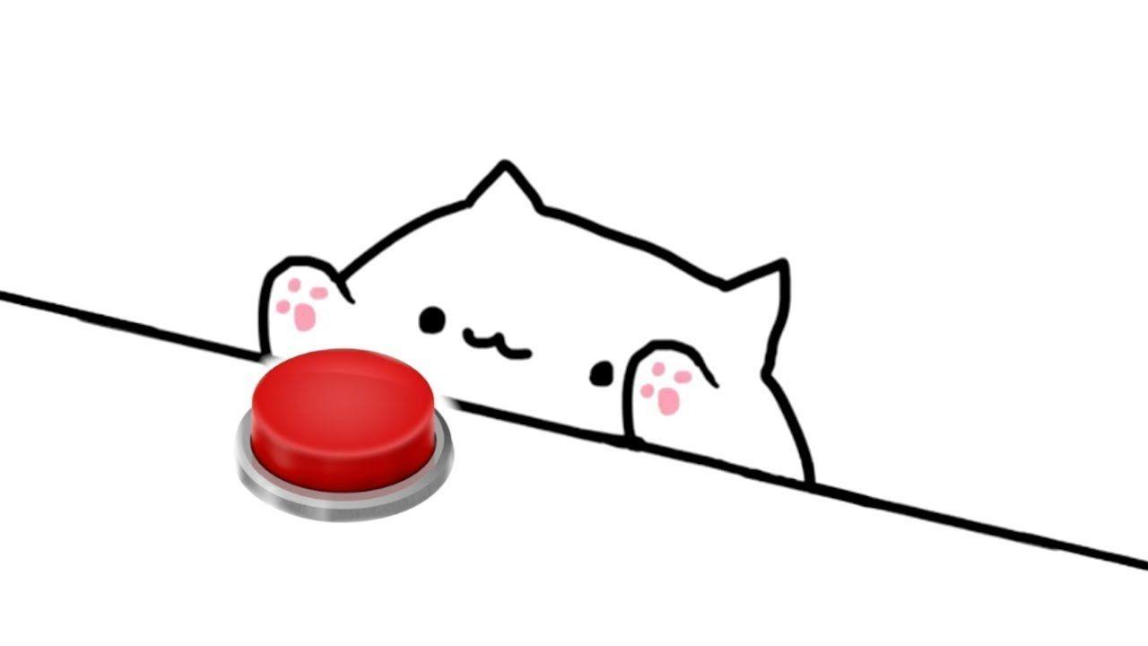 Bongo Cat Wallpapers Top Free Bongo Cat Backgrounds WallpaperAccess