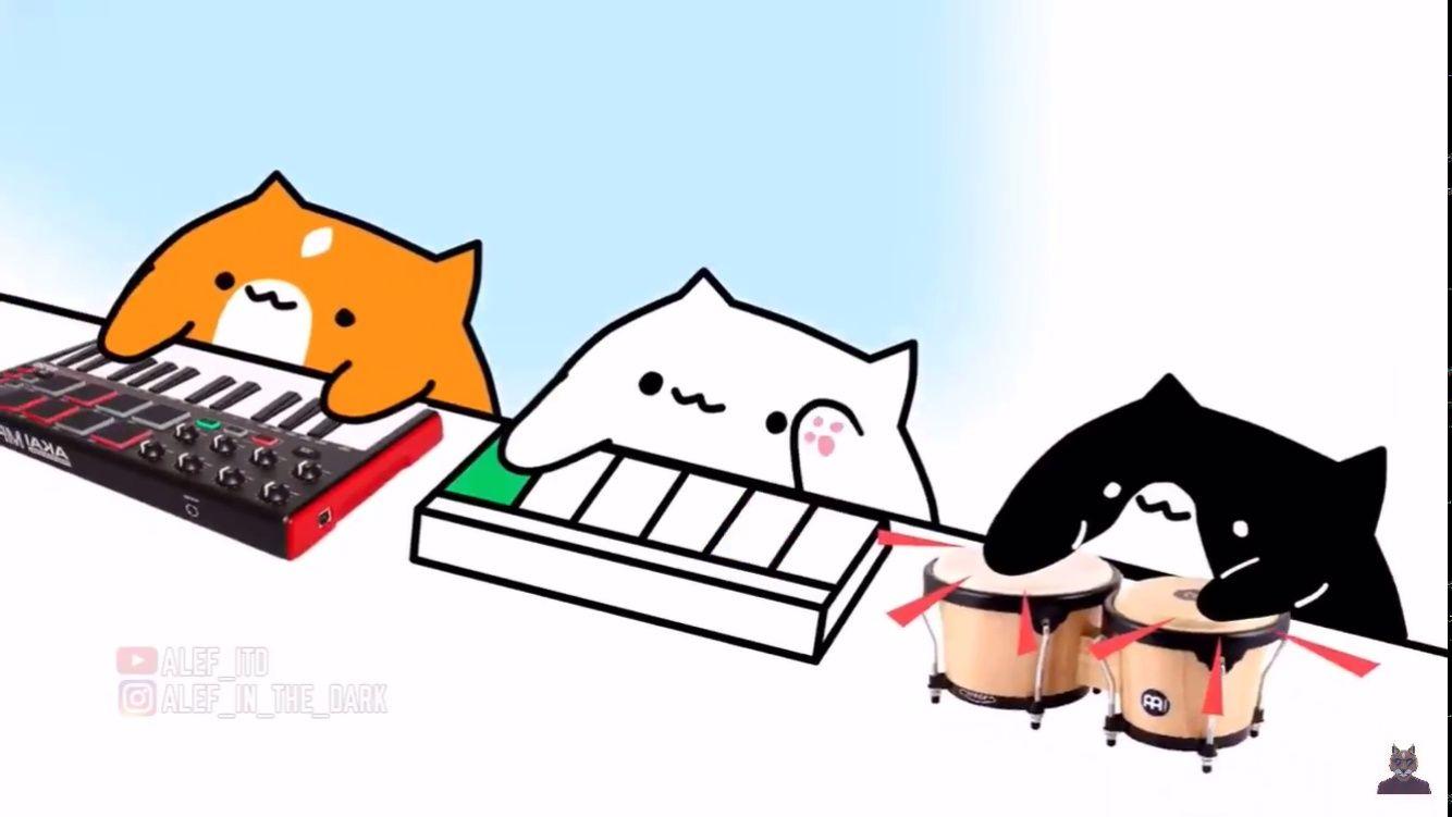 Bongo Cat Wallpapers Top Free Bongo Cat Backgrounds WallpaperAccess