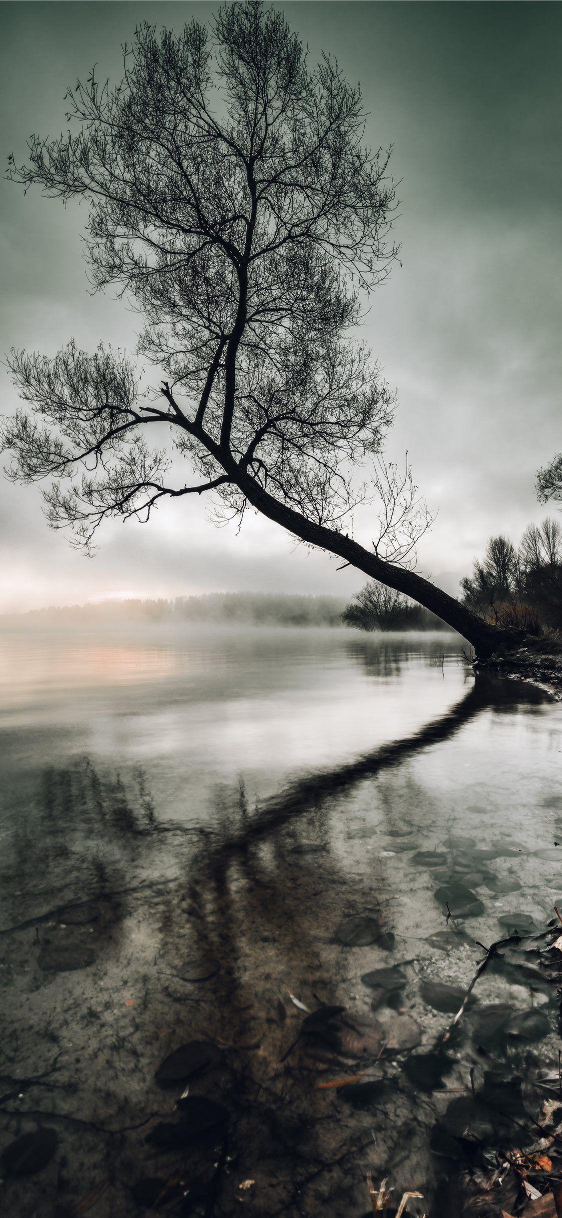 Mysterious Wallpapers Top Free Mysterious Backgrounds WallpaperAccess