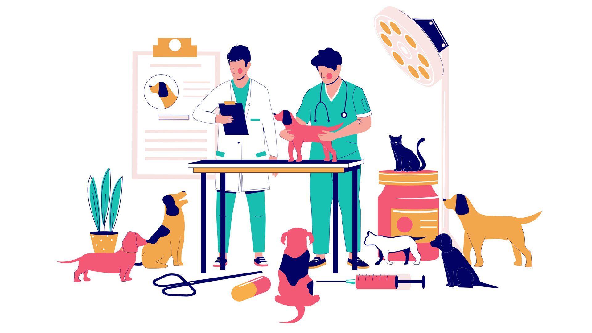 Veterinary Medicine Wallpapers Top Free Veterinary Medicine