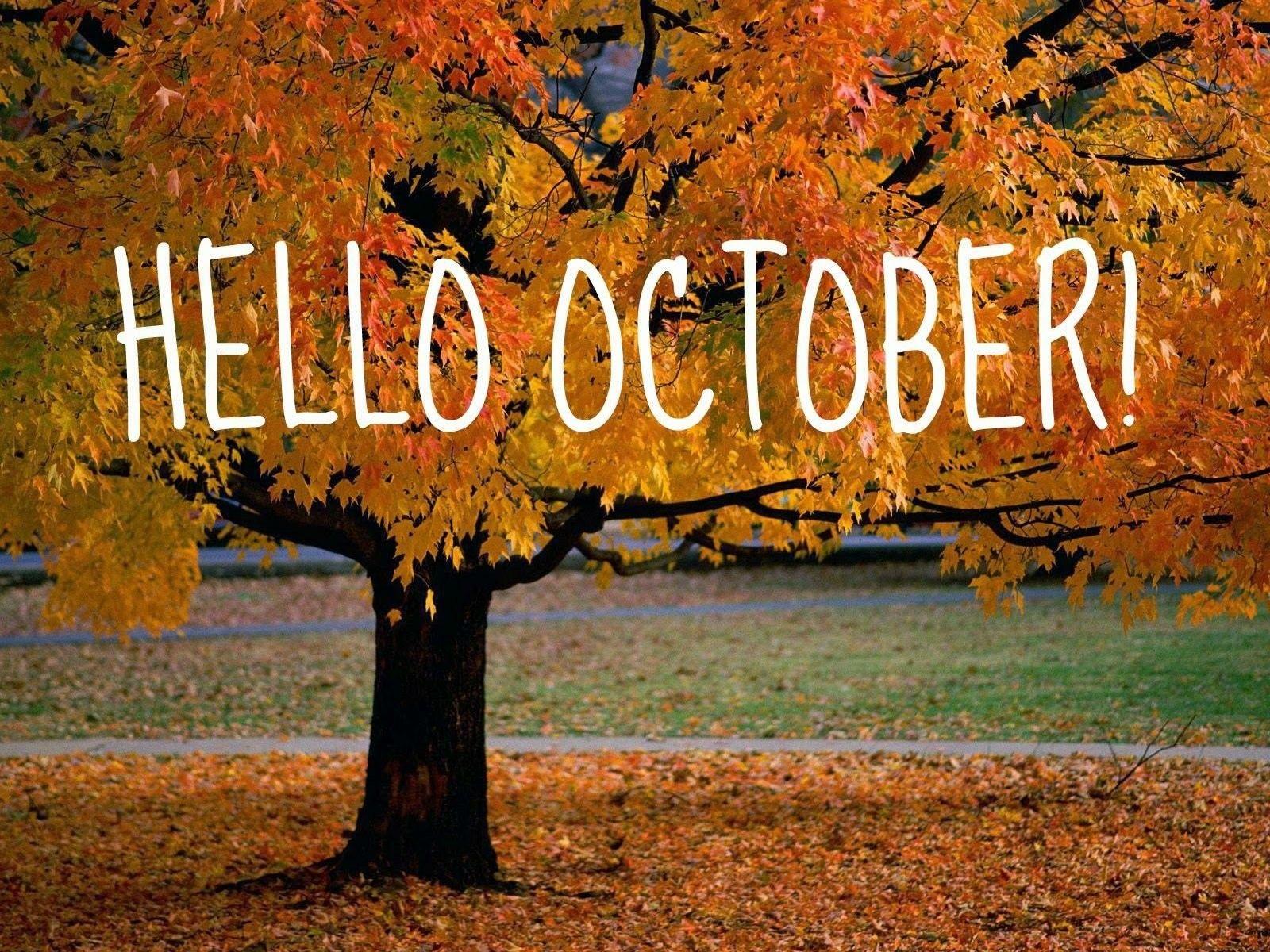 Hello Autumn Laptop Wallpapers Top Free Hello Autumn Laptop