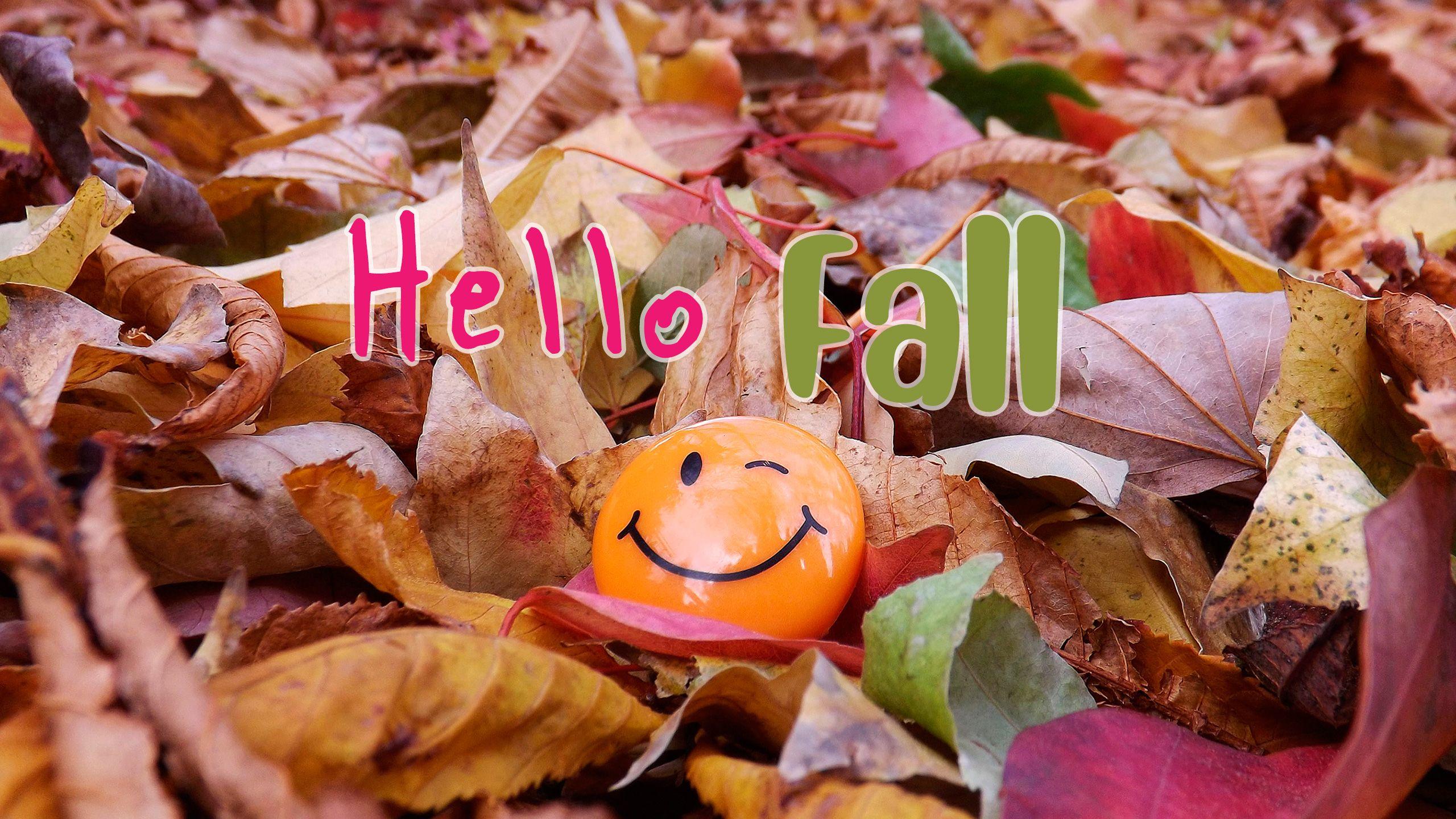 Hello Autumn Wallpapers Top Free Hello Autumn Backgrounds