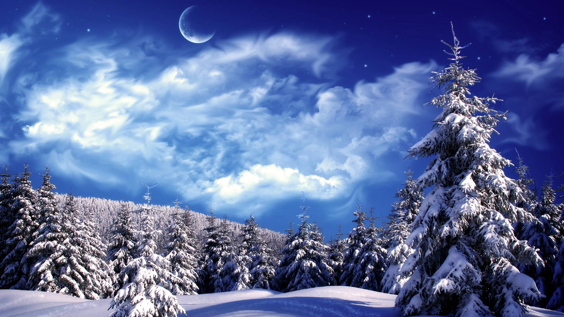 Winter Wonderland Wallpapers Top Free Winter Wonderland