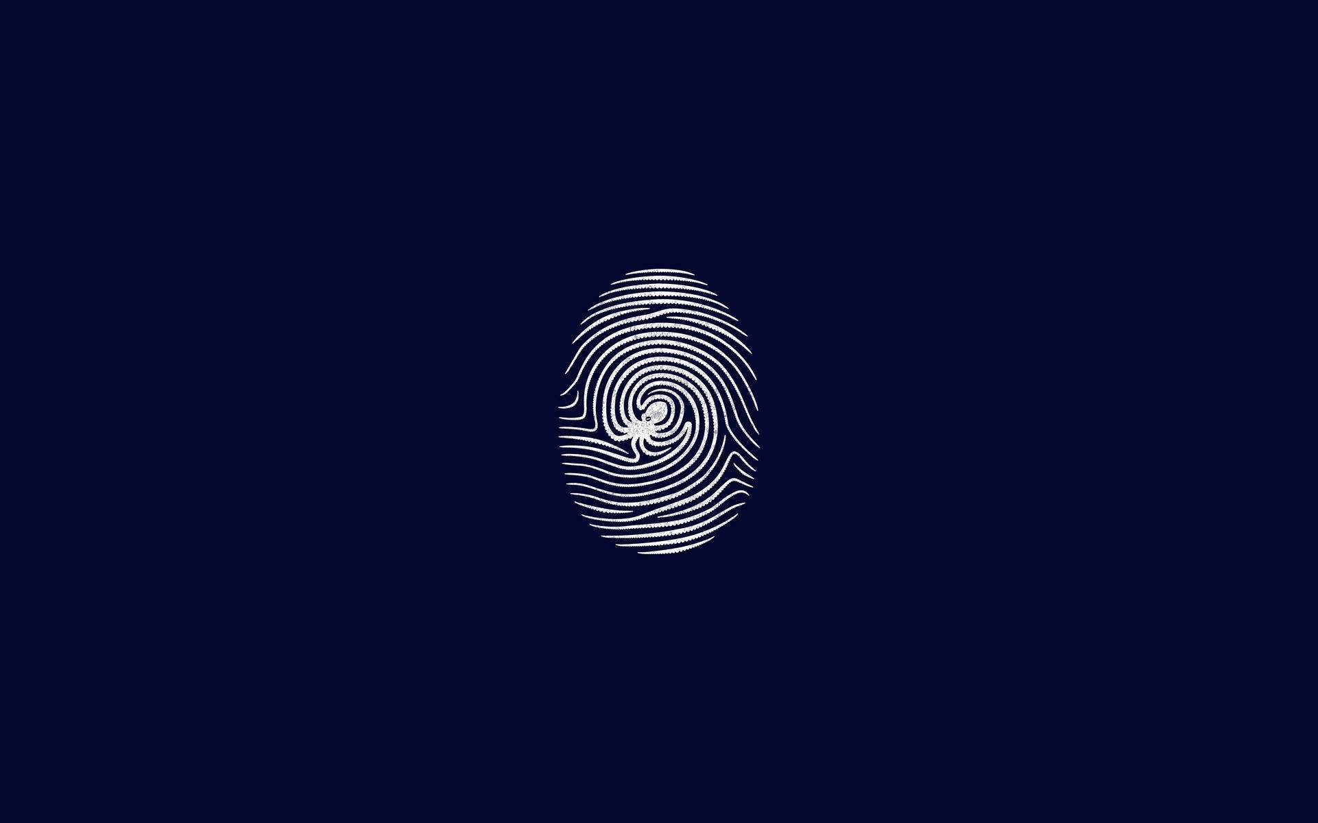 Fingerprint Wallpapers Top Free Fingerprint Backgrounds WallpaperAccess