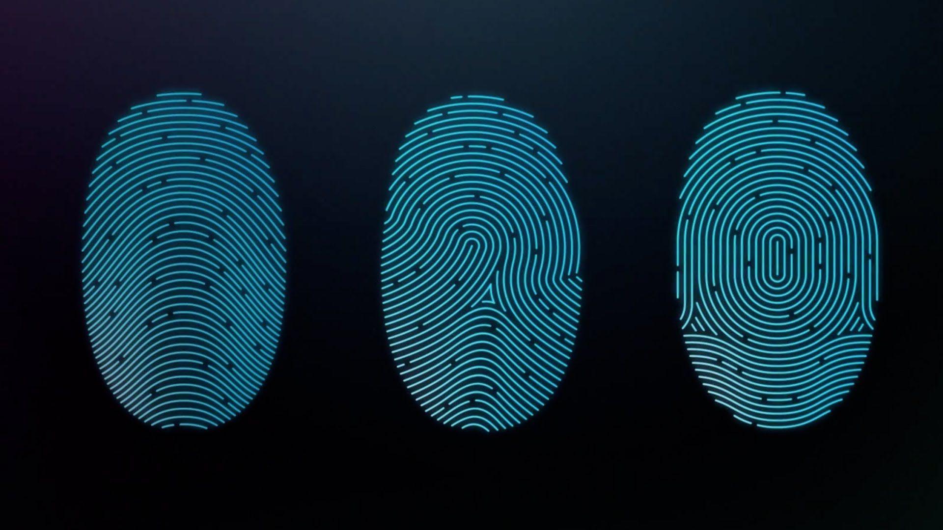Fingerprint Wallpapers Top Free Fingerprint Backgrounds WallpaperAccess