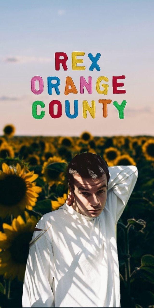 Rex Orange County Wallpapers Top Free Rex Orange County Backgrounds