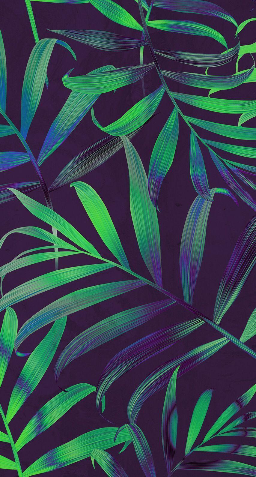 Palm Leaves Wallpapers Top Free Palm Leaves Backgrounds WallpaperAccess