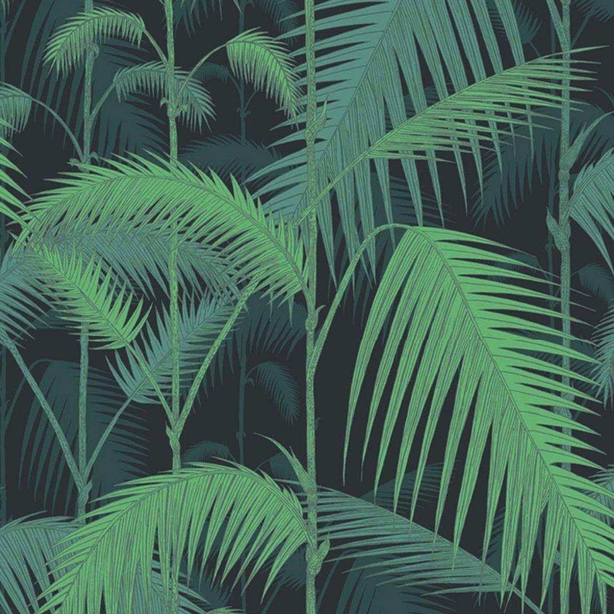 Jungle Leaves Wallpapers Top Free Jungle Leaves Backgrounds WallpaperAccess