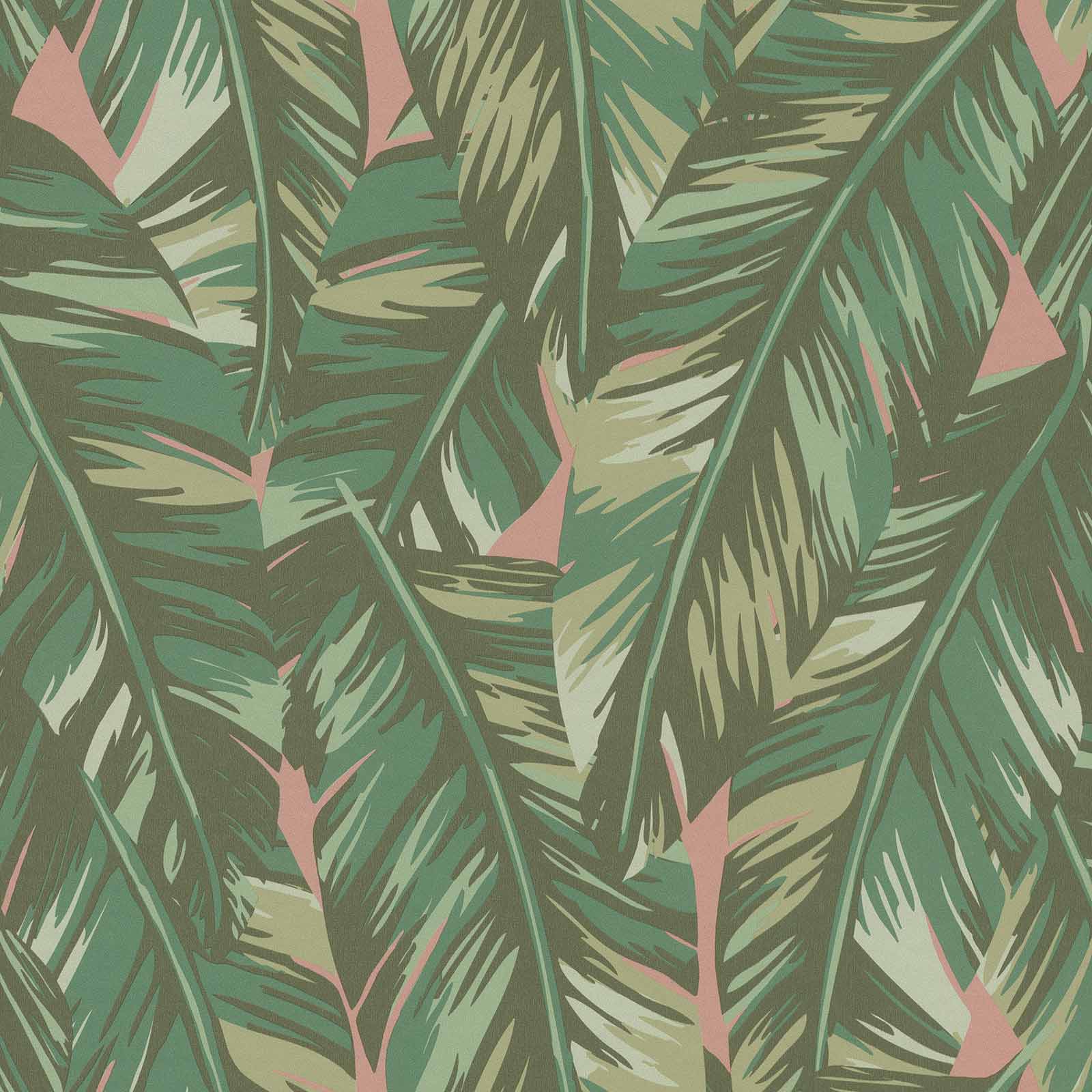 Pink Palm Leaf Wallpapers Top Free Pink Palm Leaf Backgrounds