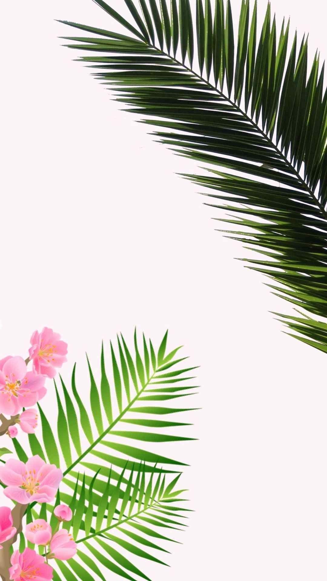 Palm Leaves iPhone Wallpapers Top Free Palm Leaves iPhone Backgrounds