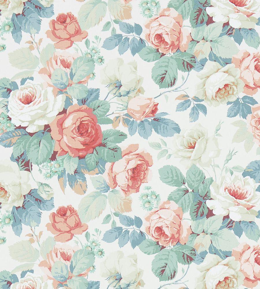 Coral Flower Wallpapers Top Free Coral Flower Backgrounds