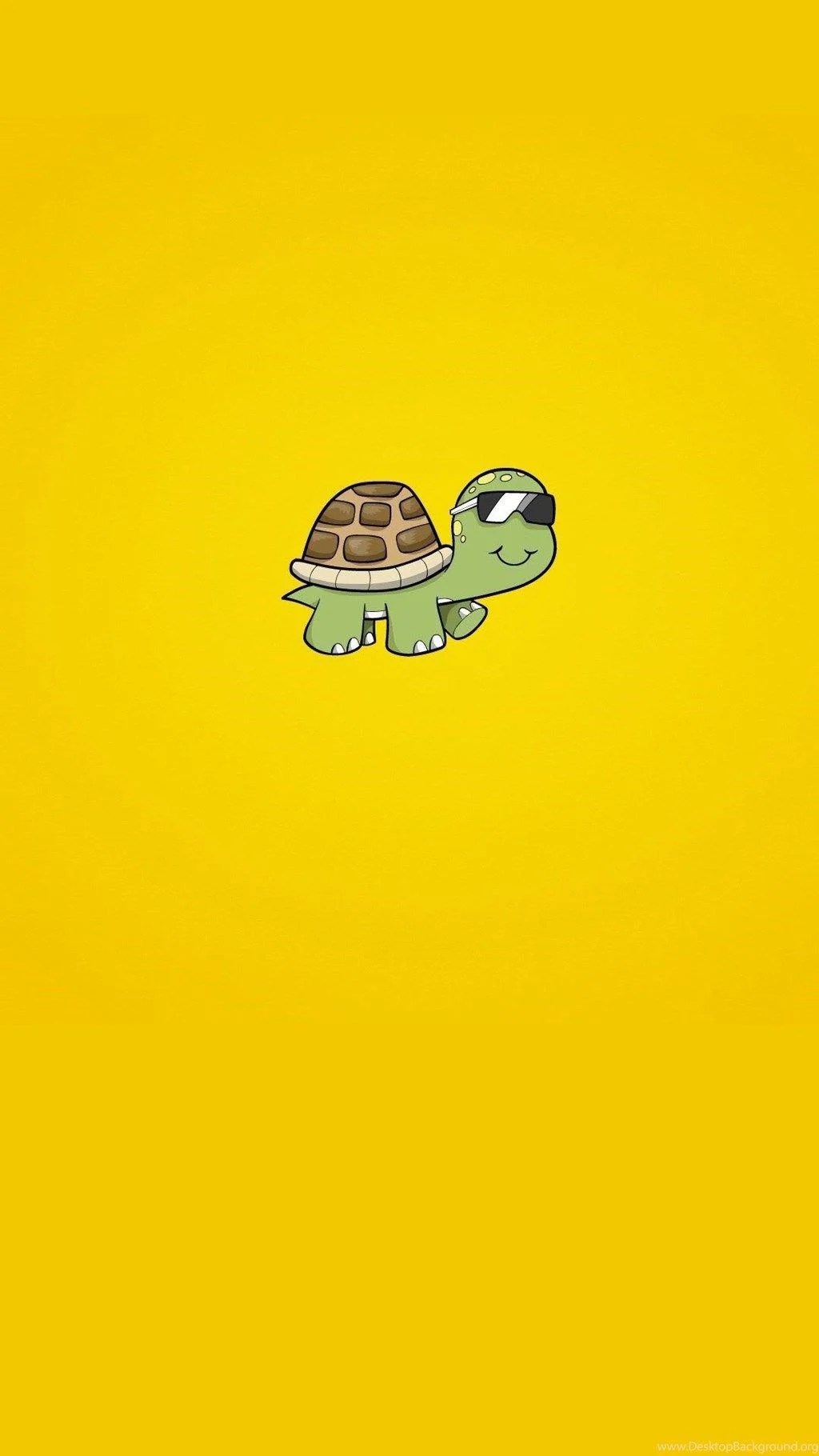 Cute Turtle Wallpapers Top Free Cute Turtle Backgrounds WallpaperAccess