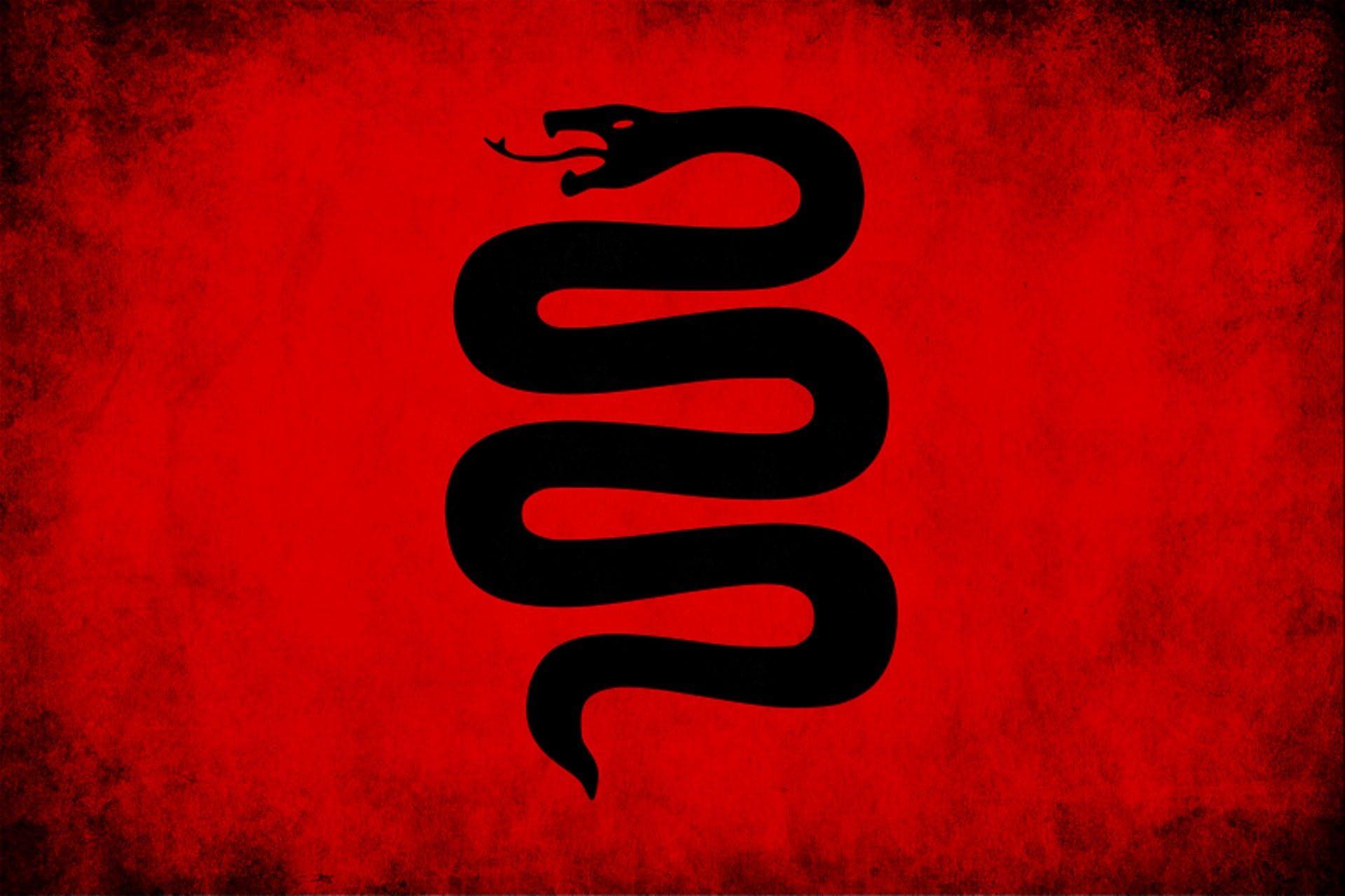 Red Snake Wallpapers Top Free Red Snake Backgrounds WallpaperAccess