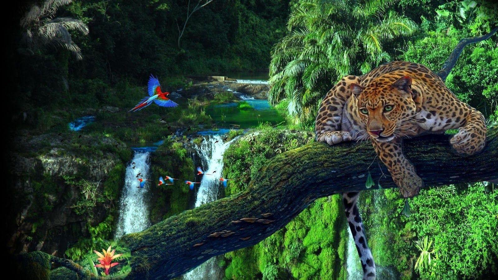 Amazon Jungle Wallpapers Top Free Amazon Jungle Backgrounds